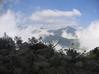 Bosque nublado, perdu dans les hauteurs sur la route vers Otavalo